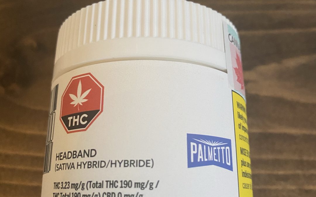 FLOWER Headband (Hybrid) Palmetto